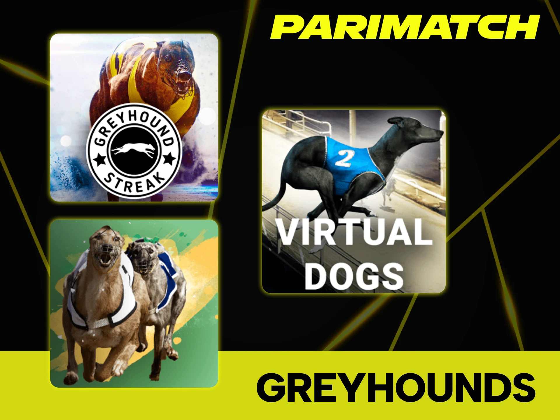 Experience the pure speed with Parimatch Virtual Greyhounds games.